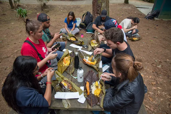 Students eating typical Colombian lunch wrapped in banana leaf