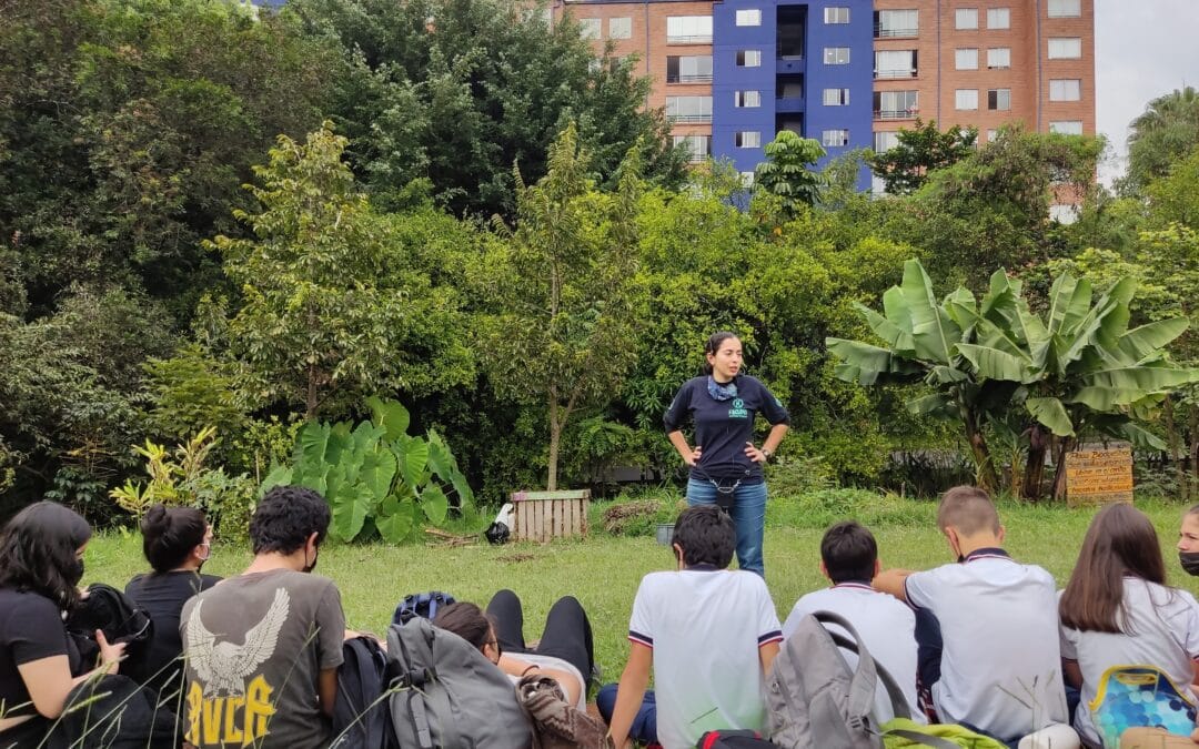 Service Trip for Students: Green Fingers and Urban Gardening in the Heart of Medellin