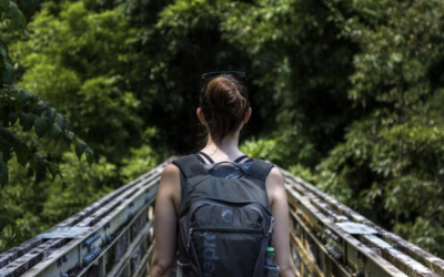 Conservation study abroad costa rica