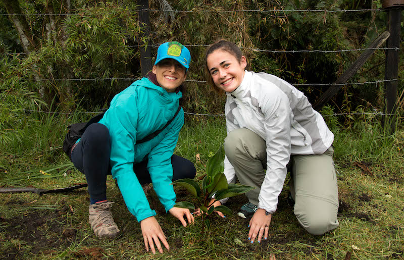 Conservation study abroad costa rica planting