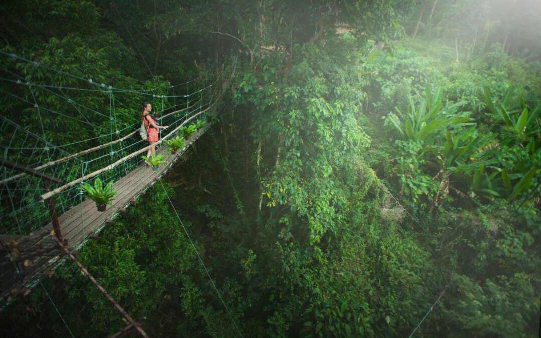 Costa Rica Study Abroad: Teaching Climate Change Through Fieldwork