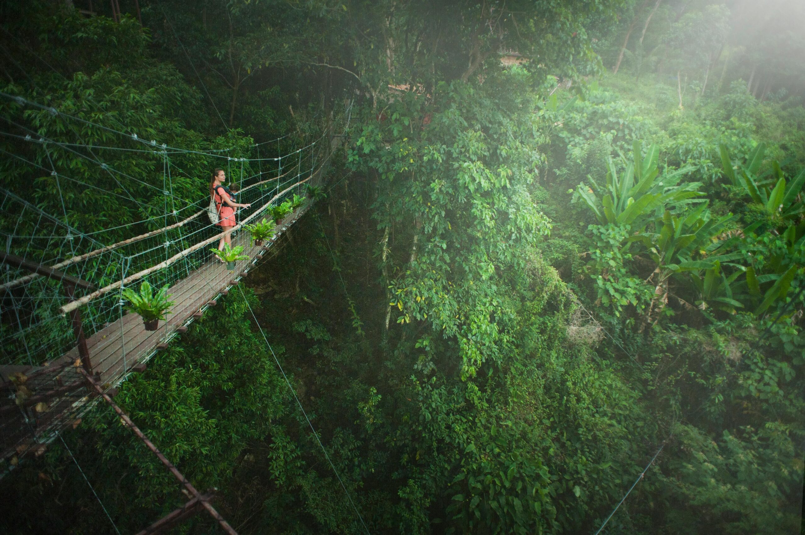 Costa-Rica-study-abroad-teach-climate-change Costa Rica study abroad teach climate change