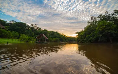 Environmental Science Amazon Peru