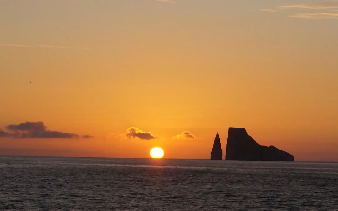 Galapagos Entry Requirements: Step-by-Step Guide