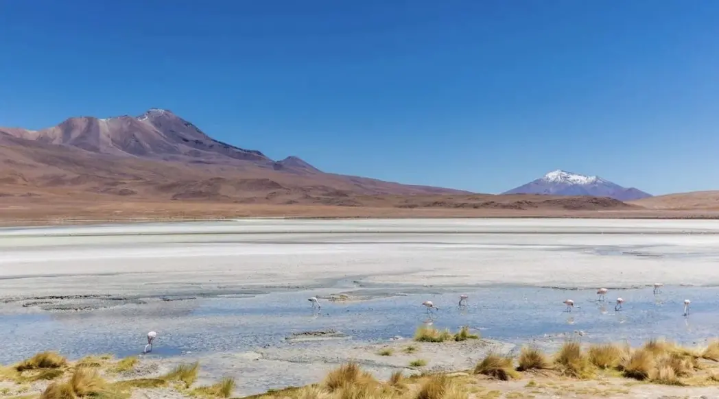 Experience Bolivia's Salt Flats