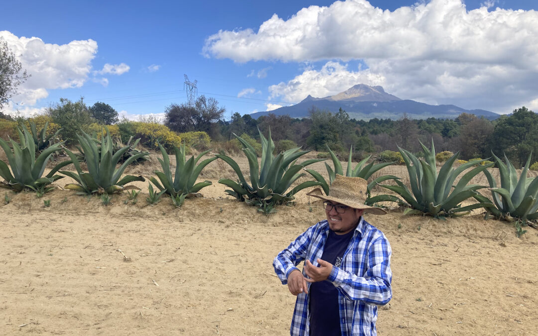 Humanities trip in Mexico