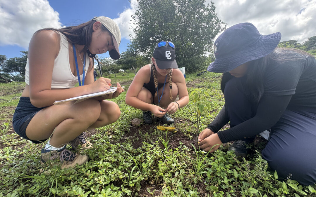 STEM Study Abroad for Busy Degree Programs