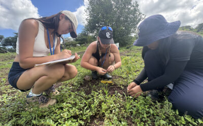 STEM-study-abroad-Galapagos STEM Students recording native plant species in the Galapagos