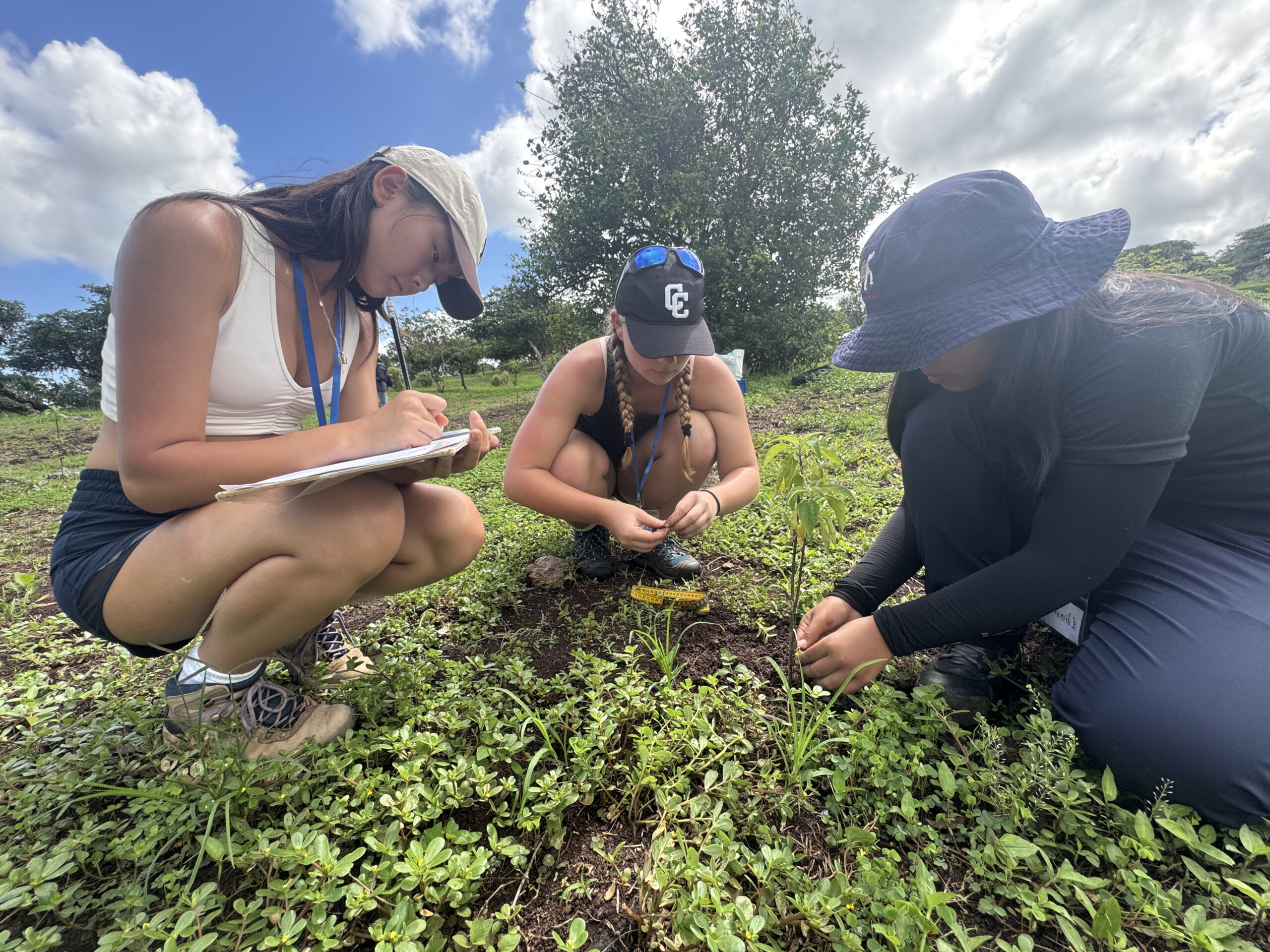 STEM Students recording native plant species in the Galapagos