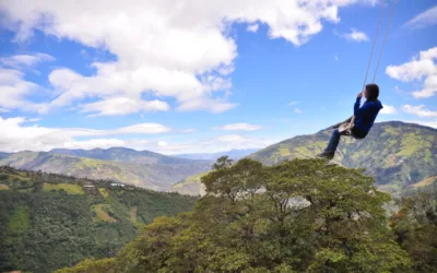 STEM Trip Ecuador Student on a Swing