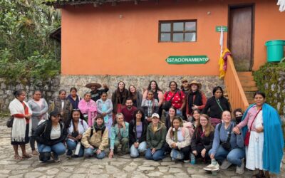 Teaching Sustainable Development Study Abroad Programs Mexico