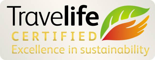 Logo Footer