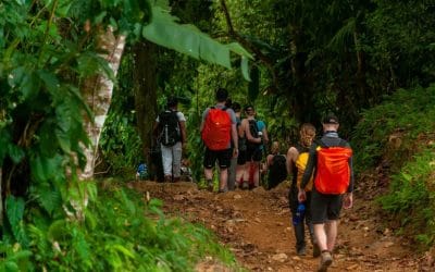 Trekking in Colombia