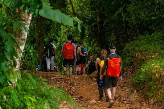 The Lost City trail, surrounded by jungle.