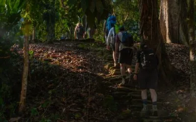 People walking to the Lost City